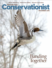 NYS Conservationist Magazine cover
